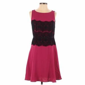 Ann Taylor Loft Magenta and Black Lace Dress - Fit & Flare Size 2‎